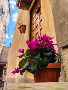 Il Rifugio Nel Vicolo