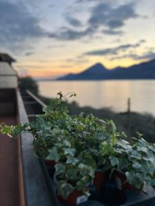 Casa Agnese Lake View