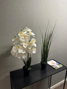Appartements Appartement Claudel Netflix Saint Quentin en Yvelines : photos des chambres
