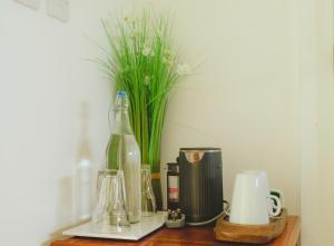 Double Room with Private External Bathroom room in Mocha Newcastle