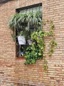 Bright Apartment in Seville with Private Garden