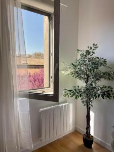 Botanic Escape with Air Con, Balcony & Candle Bath Ritual - Pets Welcome