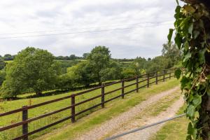 Welsh Marches at Upper Glyn Farm