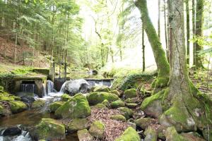 Maisons de vacances Le Bois Des Fees : photos des chambres