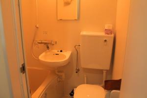 Irodorinoyado Kaede Izumi - Vacation STAY 70082v