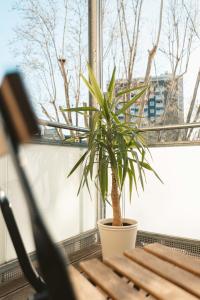 K15 Cozy, Unique & Spacious 3-Room Apartment with Balcony or Single Room by LIPA