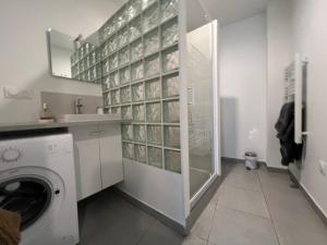 Appartements Fenix Appartement T2 40 M2 cosy RDC plein centre ville : photos des chambres
