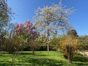 B&B / Chambres d'hotes Le Poulailler : photos des chambres
