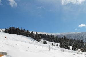 Feriendorf Koralpe Chalet Koralmrose