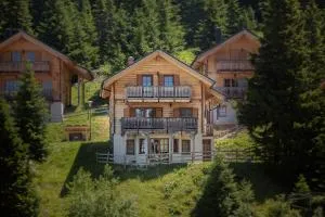 Chalet Edelweiss - Goding