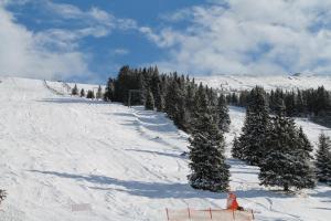Feriendorf Koralpe Chalet Edelweiss