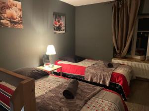 Appartements Gite L Institut : Appartement 3 Chambres