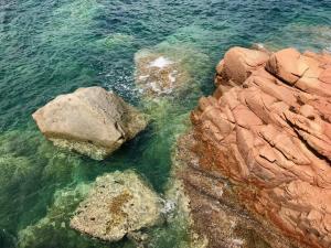 Il Giglio Affittacamere img22