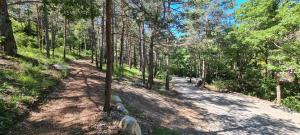 ALPINEST - Les Cabanes du Pas de la Louve