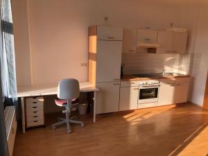 helle 1Raum Wohnung Apartment mit Balkon und Küche