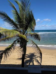 Las Mareas De Isabela