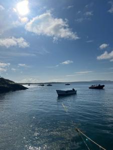 Ancaire Cottage Kilbronogue. Schull