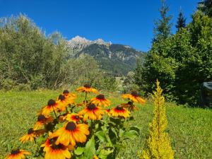 Komfort-Ferienwohnung Südbalkon, ruhige Lage - TIROL