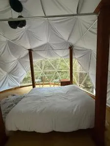 MANDALA CAMP - Tepoxcuautla