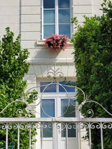 B&B / Chambres d'hotes La Maison Tuffeau Bed and Breakfast : photos des chambres