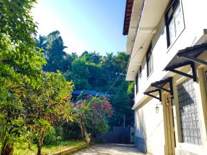 Lush Breeze Mount View