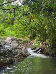 Stream By Serendians