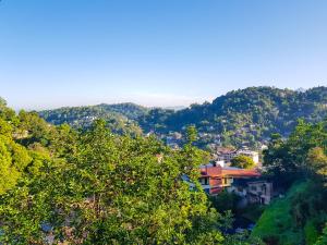 Lush Breeze Mount View