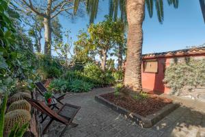 Casa Palmera - Private Paradise