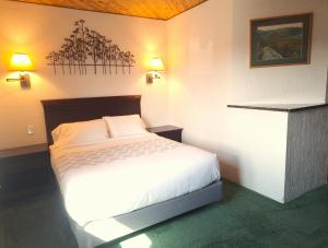 Deluxe Queen Studio  room in The Devlin