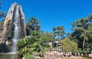 Appartements Beautiful Apartment In La Tremblade : photos des chambres