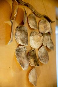 Appartements Le Mazet de l'Or - Climatisation et vue sur l'etang : photos des chambres