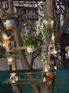 Shalom Guesthouse and Cafe