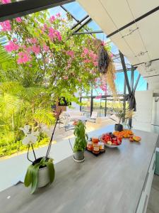 Maisons de vacances NUIKI Lodges - Gites : photos des chambres