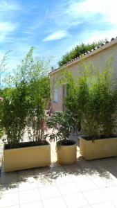 Appartements Reve et Soleil : photos des chambres