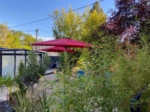 Appartements Gite du Silo Epi de Ble Piscine & Spa : photos des chambres