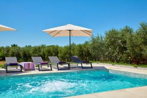 Brand new Villa Borina with pool