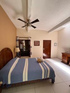 La Casa del Arbol Townhouse