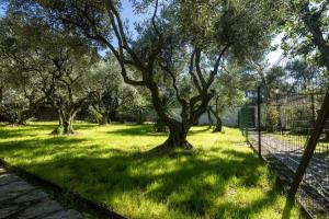 Villas Gite Lucie : photos des chambres