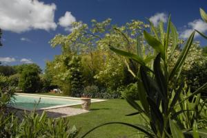 B&B / Chambres d'hotes Le Coing des Vignes : photos des chambres