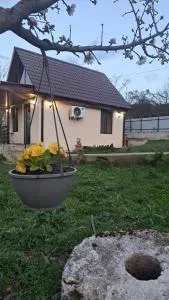 Cottage space - Agara