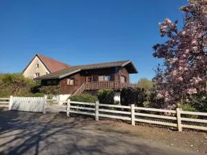 Le Chalet des Masnils - Étueffont-Bas