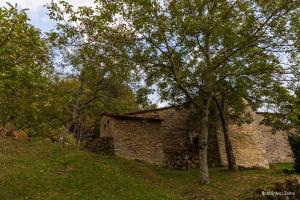 SO MAGIC - La casa nel bosco