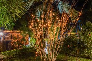 Villa créole au coeur de Péreybère