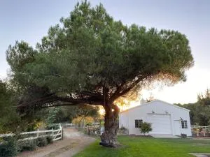 The Ranchette at Los Berros - Nipomo