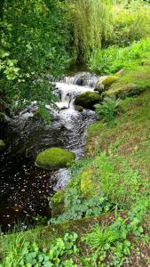 River View Lodge