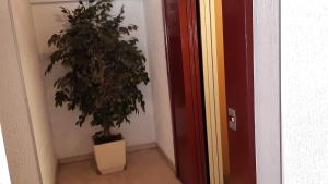 Klipfel Little Venice