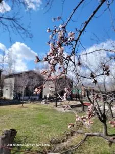 Apricot & spring Resort Skardu - Ranga