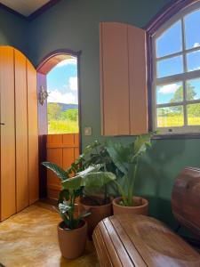 Cores da Mata - Casa de Charme