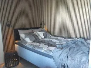 Moderni yksiö, parveke, parkkipaikka, palveluiden vieressä - 诺基亚