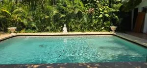 Blue Cat Merida - Petkanché